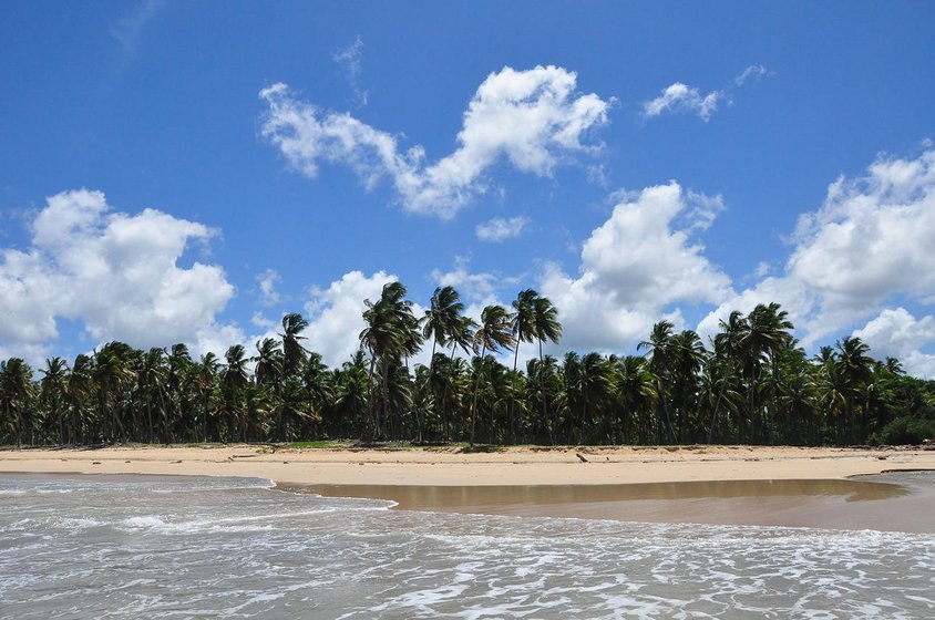 Sandstrand mit Palmen in der Dominikanischen Republik mit blauem Himmel