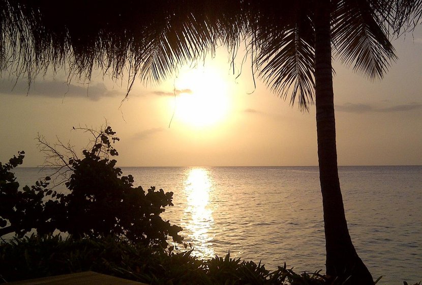 Sonnenuntergang mit Palme und Meer