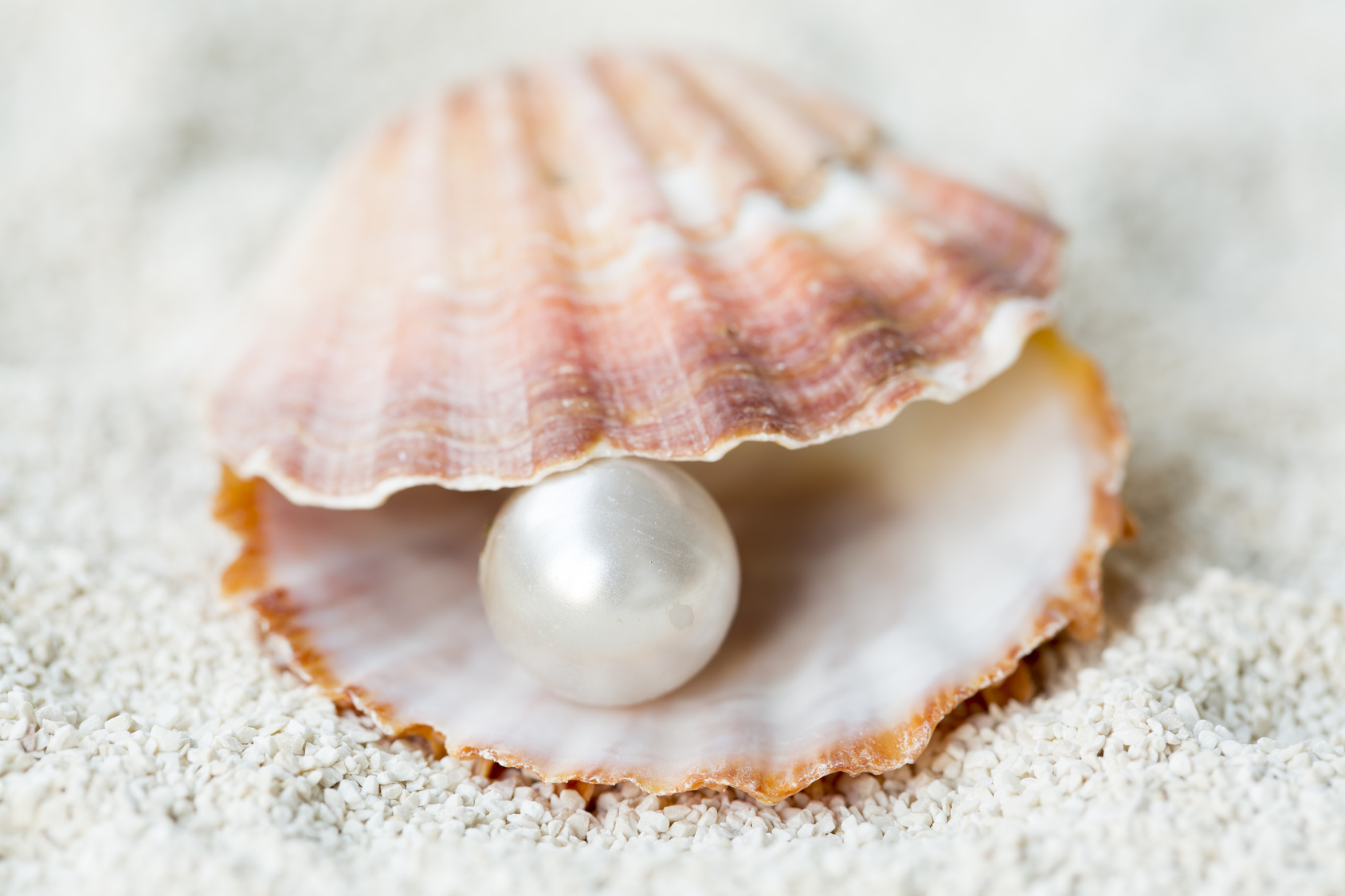 Muschel mit Perle - © aytuncoylum / Fotolia