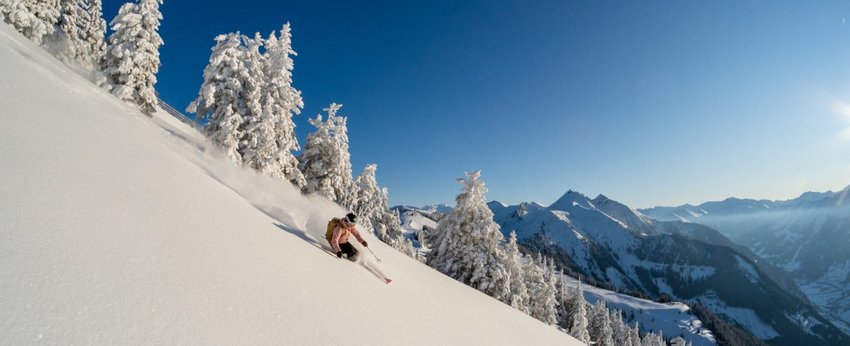 [Translate to English:] 