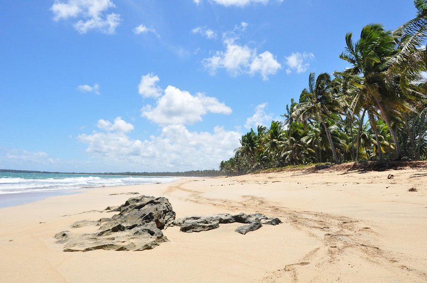 Strandabschnitt auf tropischer Insel in der Dominikanische Republik mit Felsen im Sand und Palmen vor blauem Himmer