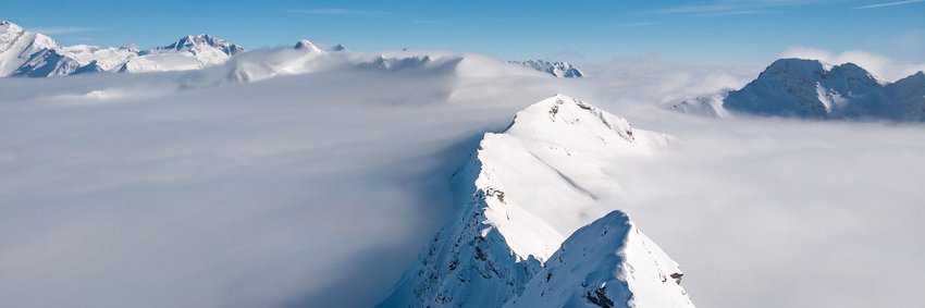 [Translate to English:] 