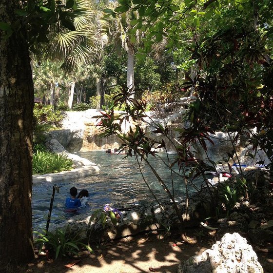 Palmtrees and a natural pool in the rocks in the dominican republic