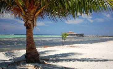 Cay Resort im Glovers Riff Atoll