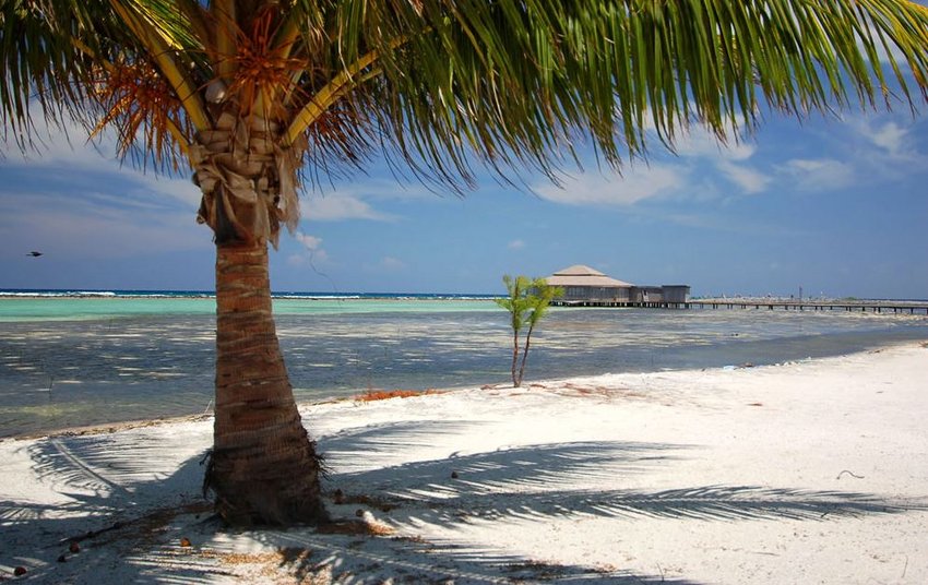 Beautiful caribbean beach and dining area of the resort